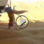 بالفيديو.. سعوديون يقتلون ثعلبا بطريقة وحشية! 	
