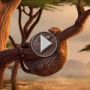 فيديو ساخر يظهر الحيوانات بعد ادمانها على الوجبات السريعة 	