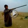 مضحك: شاهدوا الطفل صقر كيف يصطاد الحباري!  	