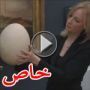 شاهدوا.. بيضة 