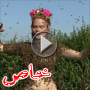 بالفيديو: أغرب من الخيال! 12000 نحلة تغطي سارة وهي عارية  	