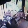 بالفيديو.. غزال يقتحم حافلة أثناء سيرها 	
