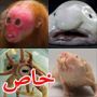 بالصور: مسابقة لاختيار أبشع المخلوقات على الأرض  