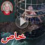 صور وفيديو: مسنّة محبة للاثارة تواجه 3 تماسيح وجهاً لوجه  	