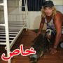 صور: استرالي ينام ليلة عيد ميلاده وتمساح تحت سريره 