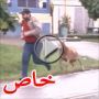 فيديو لعنزة هائجة تهاجم المارة في الشارع يحقق مليوني مشاهدة 