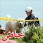 بالصور: انقاذ كلب بعد أربع ساعات من سقوطه عن حافة هاوية 