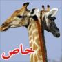 هل هذه صور زرافة برأسين أم مجرد خدعة نظر؟ 
