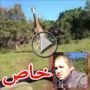 بالفيديو: ملاحقة زرافة هائجة لسيارة سياح تثير الرعب في نفوسهم