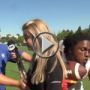 بالفيديو.. لاعب كرة قدم يصطدم بمراسلة ويسقطها أرضا 