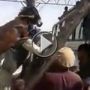 شاهدوا.. يحمل بغلا ويصعد به السلم 