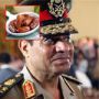 السيسي وتمرد وعبد الناصر.. أفخر أنواع التمر في مصر