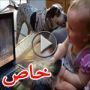 فيديو: تثاؤب الاسد اضحك الطفلة الصغيرة 		