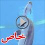 فيديو رائع لدولفين لحظة ولادتها وتعليم مولودها السباحة للسطح