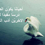 اقوال وطرائف رقم 1