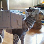 صورة 4 اقوال وطرائف