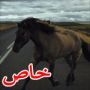 صور مذهلة فازت بالمسابقة السنوية للتصوير بواسطة الايفون
