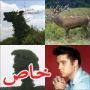 صور اشجار مدهشة تشبه غزال او ديناصور وحتى الفيس بريسلي! 
