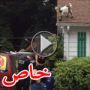 فيديو: الشرطة تتدخل لانقاذ ماعز علقت على سطح منزل 		