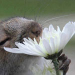 صورة 4 اقوال وطرائف