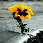 اقوال وطرائف صورة 2