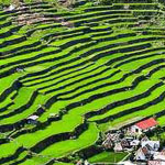 اقوال وطرائف الصورة الثالثة