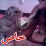  فيديو طريف لقطة تحاول اقناع صاحبتها بتقبيلها  	