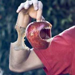 اقوال وطرائف الصورة الثالثة