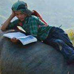 اقوال وطرائف صورة 2