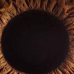 اقوال وطرائف رقم 1