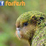 اقوال وطرائف صورة 2