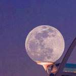اقوال وطرائف صورة 2