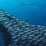 صورة 4 اقوال وطرائف
