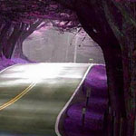 اقوال وطرائف صورة 2