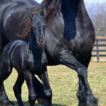 اقوال وطرائف صورة 2