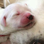 صورة 4 اقوال وطرائف