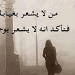 صورة 4 اقوال وطرائف