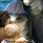 صورة 4 اقوال وطرائف