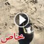 منتهى الغرابة: ظهور قدم مقطوعة في حذاء بشاطيء سان فرانسيسكو