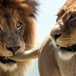 اقوال وطرائف صورة 2