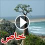 جزيرة سقطري اليمنية اجمل وأروع جزيرة في العالم 