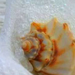 اقوال وطرائف صورة 2