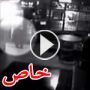 فيديو دب يدخل حانة لكن يغادرها بهدوء حين تصرخ عليه النادلة