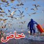 اروع الصور المشاركة في مسابقة 