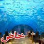 مطاعم فاخرة ورومانسية حول العالم!