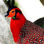 صورة 4 اقوال وطرائف