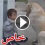 كلبة لطيفة مصممة على عقد صداقة مع طفل لديه متلازمة داون