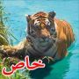 نمر ينقض على ذراع موظفة حديقة الحيوانات التي أدخلت يدها للقفص