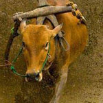 اقوال وطرائف صورة 2