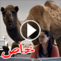مدرسة تصف جمل بطل اعلان تلفزيوني بانه 
